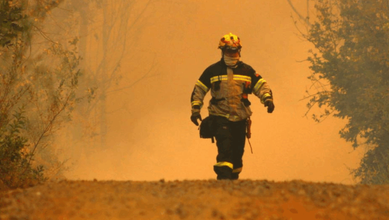 Corma asegura que más del 50% de los incendios forestales en el Biobío son intencionales: 