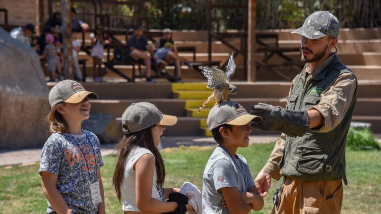 Junaeb lanzó el programa Escuelas Abiertas de Verano 2026: ¿Cómo participar?