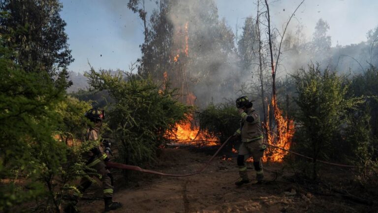 “Es irracional”: Propietario de terreno pone en duda tesis de Fiscalía sobre origen del megaincendio en el Biobío