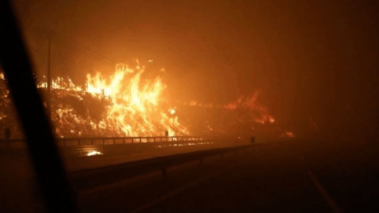 Ordenan evacuaciones en Quillón y Florida por incendio forestal que ya cruzó la Ruta N-48 y provocó corte de tránsito
