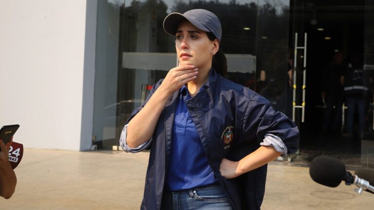 Ripamonti defiende su gestión en Viña del Mar tras informe de Contraloría por irregularidades en el megaincendio