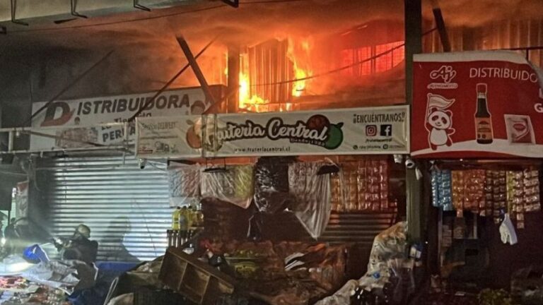 Incendio en La Vega Central: Al menos 70 locales comerciales afectados y Bomberos descarta heridos