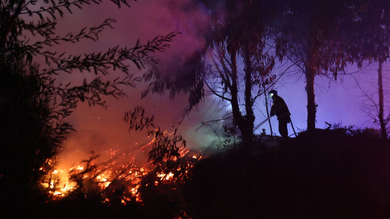 Senapred eleva a Alerta Roja en Nueva Imperial por incendio forestal 