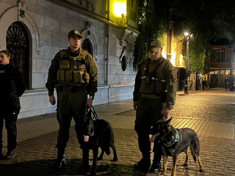 Carabineros detiene a 17 personas tras operativo nocturno en barrios bohemios de Santiago
