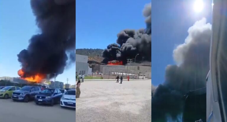 Incendio afecta planta Verfrut en Las Cabras: Seremi de Salud emitió alerta por columna de humo