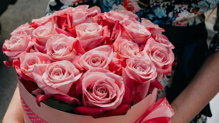 Panoramas para celebrar el 14 de febrero: Concierto en el Planetario USACH, San Valentín en la Blondie y trekking en Peñalolén