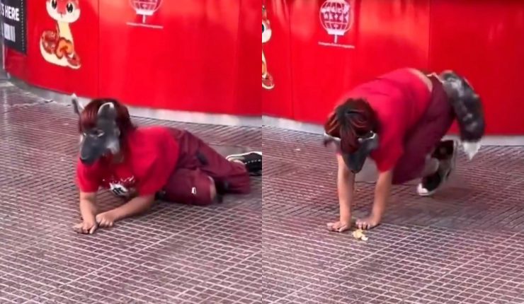 Soy psicóloga y te explico qué hacer y cómo reaccionar si tu hijo decide ser Therian