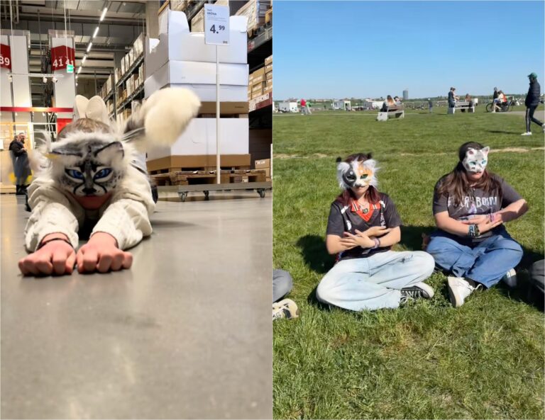 Los Therians chilenos rompen el silencio: 