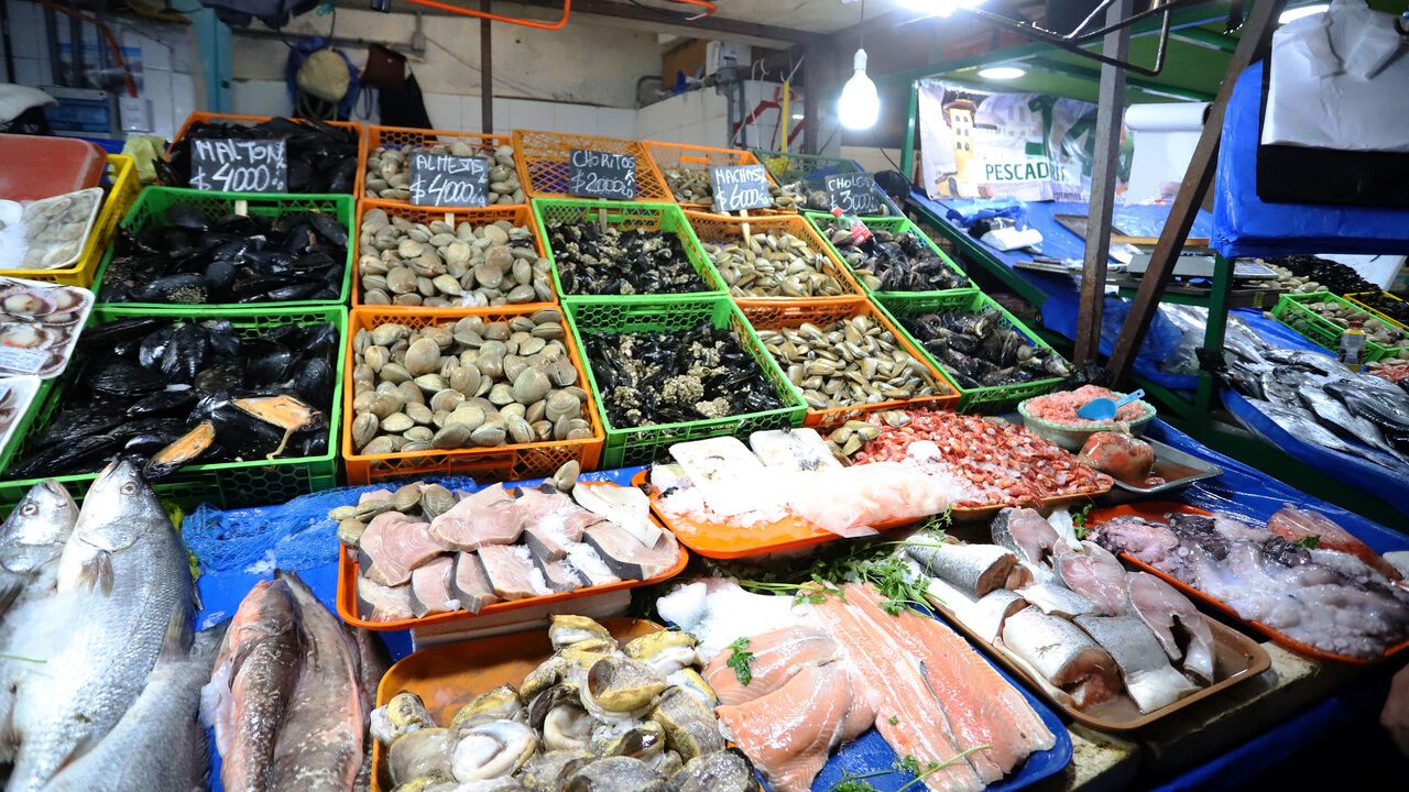 Por aumento de consumo de pescados y mariscos en Semana Santa: ISP refuerza llamado a prevenir intoxicaciones por marea roja