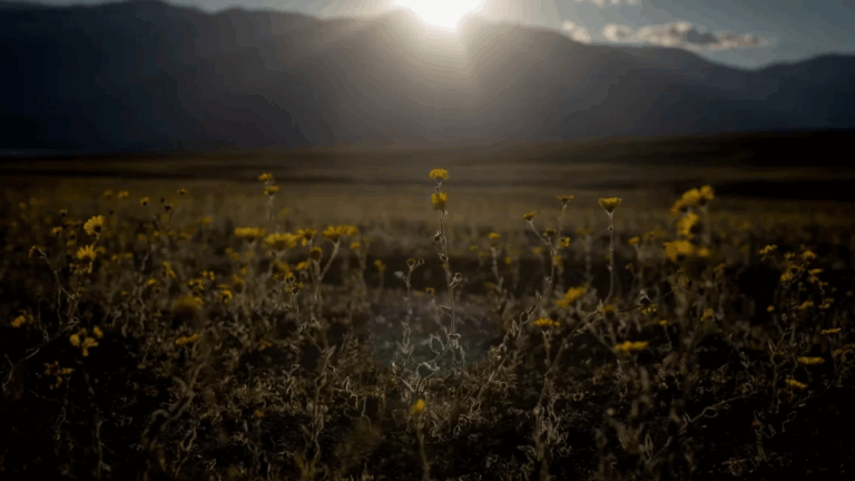 Se aproxima un importante cambio en los patrones climáticos en gran parte de Estados Unidos