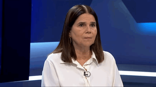 Vicepresidenta de la Cámara: Proyecto de Reconstrucción podría “salir en agosto” y “sería más sano que pase a dos comisiones”